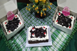 Sponge Cake vs Brownies : Memahami Perbedaan dan Karakteristik Kedua Kue