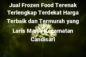 Jual Frozen Food Terenak Terlengkap Terdekat Harga Terbaik dan Termurah yang Laris Manis Kecamatan Candisari