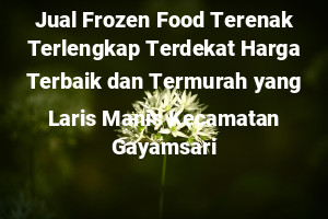 Jual Frozen Food Terenak Terlengkap Terdekat Harga Terbaik dan Termurah yang Laris Manis Kecamatan Gayamsari