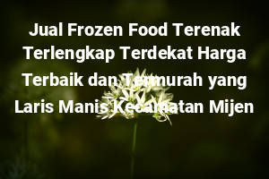 Jual Frozen Food Terenak Terlengkap Terdekat Harga Terbaik dan Termurah yang Laris Manis Kecamatan Mijen