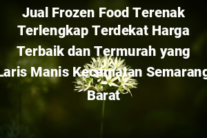 Jual Frozen Food Terenak Terlengkap Terdekat Harga Terbaik dan Termurah yang Laris Manis Kecamatan Semarang Barat