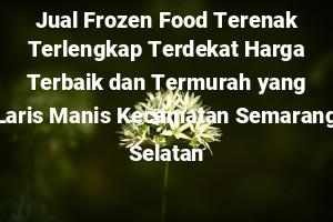 Jual Frozen Food Terenak Terlengkap Terdekat Harga Terbaik dan Termurah yang Laris Manis Kecamatan Semarang Selatan
