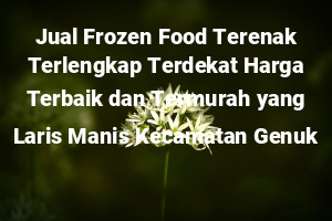 Jual Frozen Food Terenak Terlengkap Terdekat Harga Terbaik dan Termurah yang Laris Manis Kecamatan Genuk