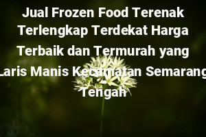 Jual Frozen Food Terenak Terlengkap Terdekat Harga Terbaik dan Termurah yang Laris Manis Kecamatan Semarang Tengah