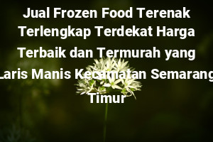 Jual Frozen Food Terenak Terlengkap Terdekat Harga Terbaik dan Termurah yang Laris Manis Kecamatan Semarang Timur