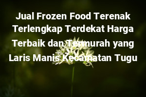 Jual Frozen Food Terenak Terlengkap Terdekat Harga Terbaik dan Termurah yang Laris Manis Kecamatan Tugu