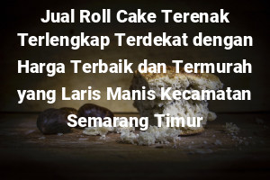 Jual Roll Cake Terenak Terlengkap Terdekat dengan Harga Terbaik dan Termurah yang Laris Manis Kecamatan Semarang Timur