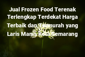 Jual Frozen Food Terenak Terlengkap Terdekat Harga Terbaik dan Termurah yang Laris Manis Kota Semarang