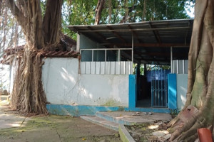 Makam Mbah Bantar Angin Cantung Semarang : Jejak Spiritualitas dalam Sejarah