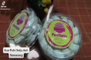 Nikmatnya Putri Salju Semarang : Kue Lebaran Lezat, Enak, Murah, Sehat, Halal dan Berkualitas Premium dari Tanah Jawa