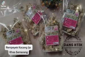 Rempeyek Kacang Ijo Semarang : Sensasi Renyah dan Lezat
