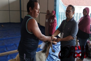 Idul Adha 2023 : 1444 H - Masjid Hadil Amin Semarang