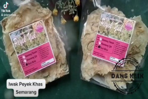 Iwak Peyek Semarang : Oleh-Oleh Khas Termurah, Terenak, dan Favorit Wisatawan