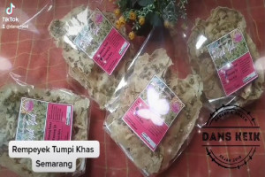 Rempeyek Tumpi Semarang : Kelezatan Tanpa Kompromi, Kualitas Terjamin dan Harga Termurah