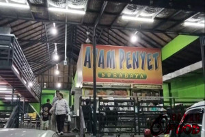Ayam Penyet Surabaya : Rekomendasi Tempat Makan Enak, Murah dan Bikin Nagih di Semarang!