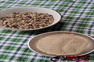 Lada : Rempah Berharga yang Menjadi Andalan dalam Produksi Danar Food and Keik Semarang