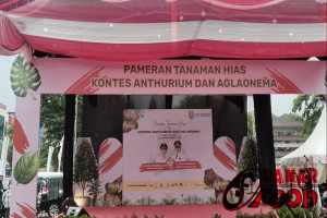 Ratusan Kolektor Tanaman Hias Ramaikan Pameran dan Kontes Anthurium - Aglaonema di Semarang