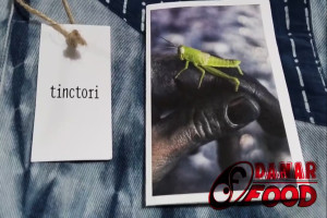 Tinctori : Dari Kebun Indigofera Tinctoria ke Kerajinan Tangan Ramah Lingkungan dalam Setiap Kain