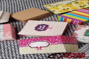 Kemasan Box untuk Produk Makanan : Solusi Praktis dan Ramah Lingkungan untuk Bisnis Kuliner