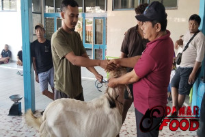 Masjid Hadil Amin Semarang Bagikan 8 Kambing dan 6 Sapi Kurban pada Idul Adha 1447 Hijriah