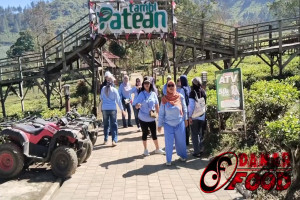 Wisata Kebun Teh Patean Tambi Wonosobo : Oase Hijau yang Instagramable, Cocok untuk Wisata Keluarga