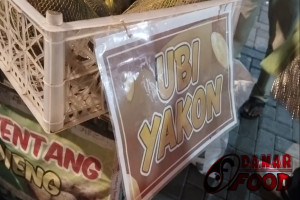 Ubi Yakon Dieng Wonosobo yang Viral : Umbi Unik Manis Renyah Berair Segar dan Bisa Dimakan Langsung